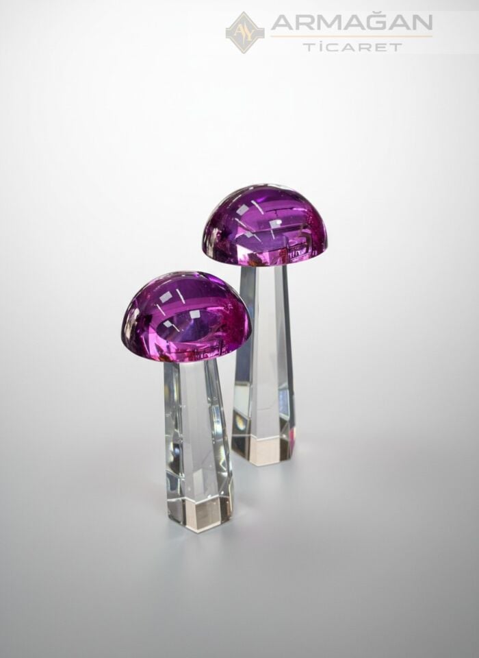 KRİSTAL MANTAR 2Lİ SET Mor